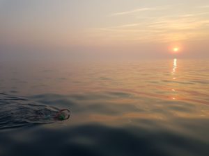 Channel swim sunrise