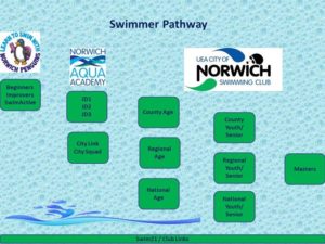 CONSC Swimmer Pathway